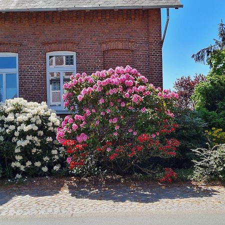 Ferienwohnung Annegret Schuback Jork Exteriér fotografie