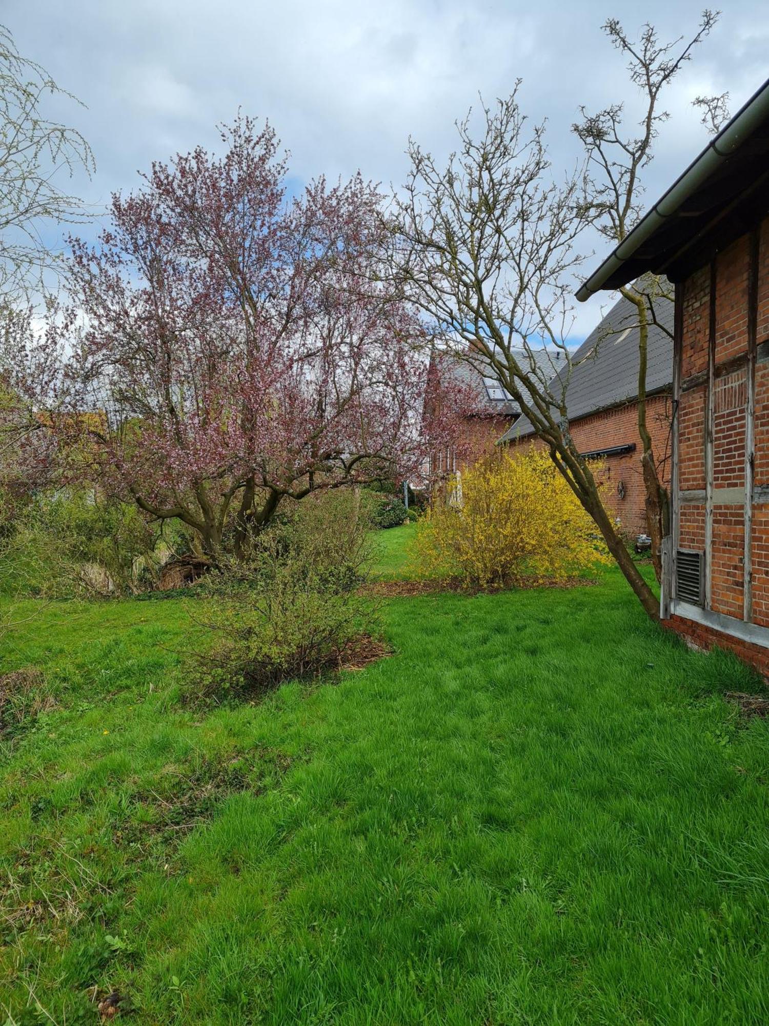 Ferienwohnung Annegret Schuback Jork Exteriér fotografie